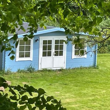 Oak View Lodge - Cosy, Countryside Retreat Maybole Eksteriør billede